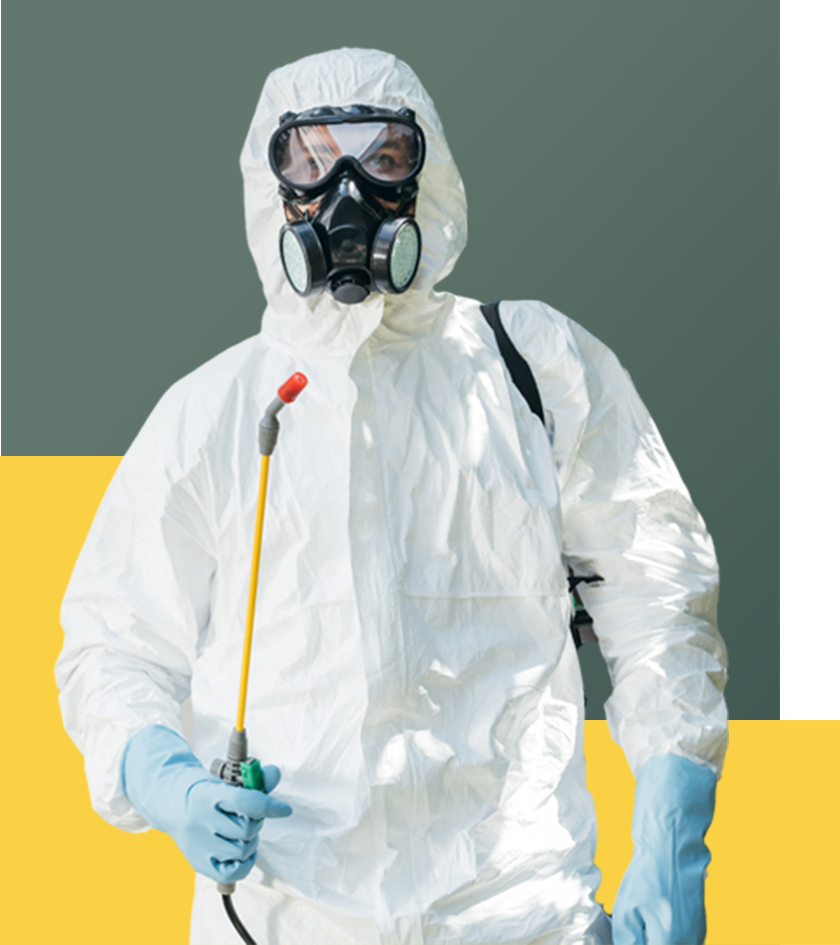 Pest Control Services